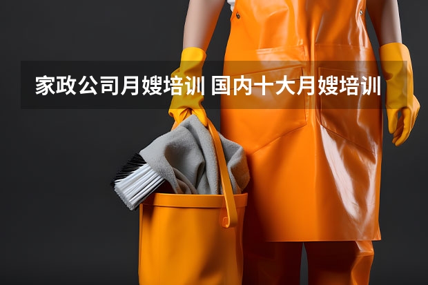 家政公司月嫂培训 国内十大月嫂培训机构