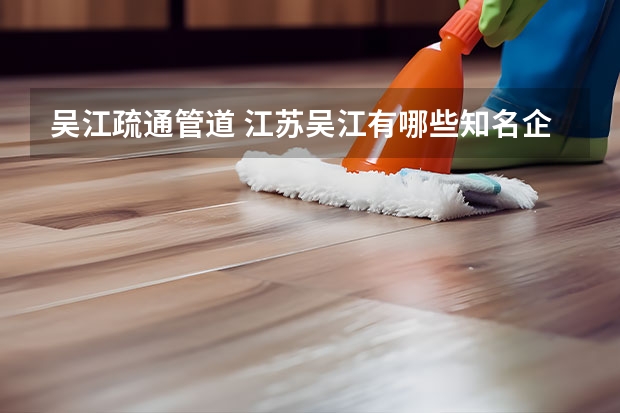 吴江疏通管道 江苏吴江有哪些知名企业