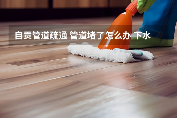 自贡管道疏通 管道堵了怎么办 下水道疏通多少钱 专业疏通马桶电话