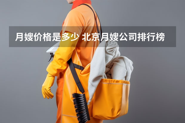 月嫂价格是多少 北京月嫂公司排行榜