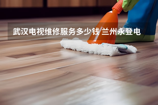 武汉电视维修服务多少钱 兰州永登电视维修电话_兰州永登电视维修价格