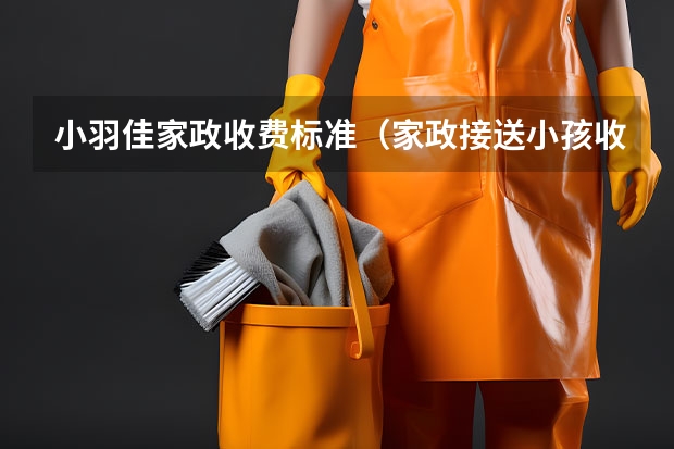 小羽佳家政收费标准(家政接送小孩收费标准)