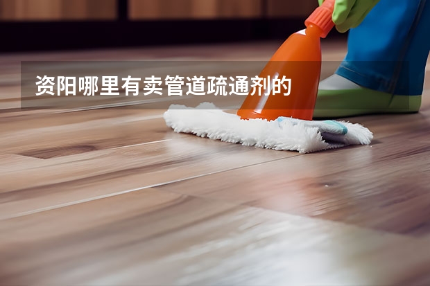 资阳哪里有卖管道疏通剂的