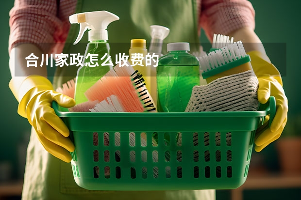 合川家政怎么收费的