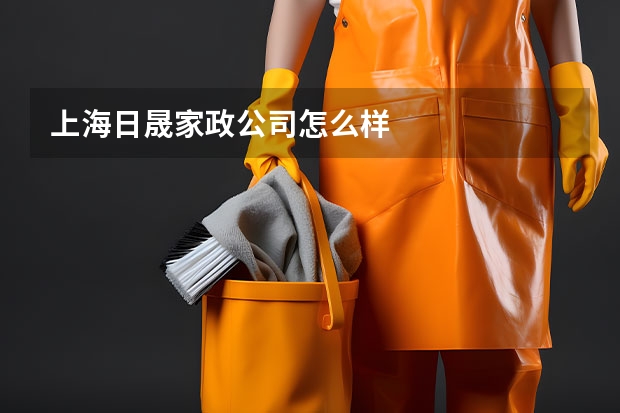 上海日晟家政公司怎么样