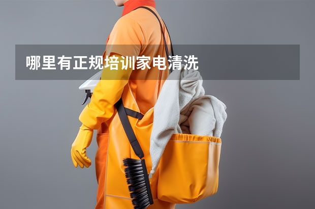 哪里有正规培训家电清洗