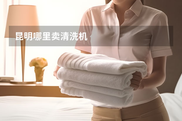 昆明哪里卖清洗机