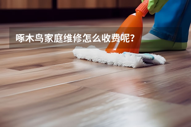 啄木鸟家庭维修怎么收费呢？