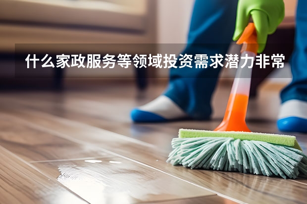 什么家政服务等领域投资需求潜力非常