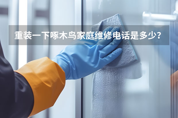 重装一下啄木鸟家庭维修电话是多少？