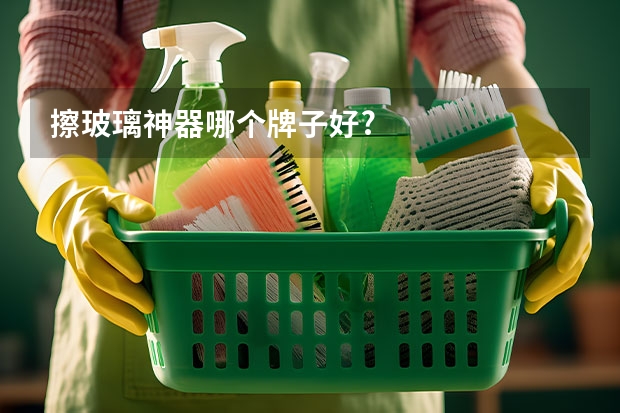 擦玻璃神器哪个牌子好?
