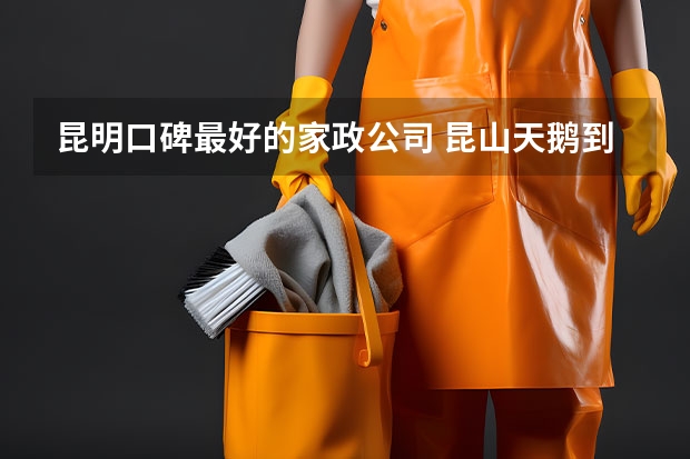 昆明口碑最好的家政公司 昆山天鹅到家家政地址