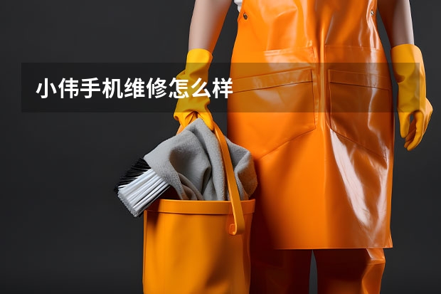 小伟手机维修怎么样