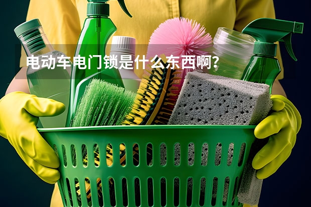 电动车电门锁是什么东西啊？
