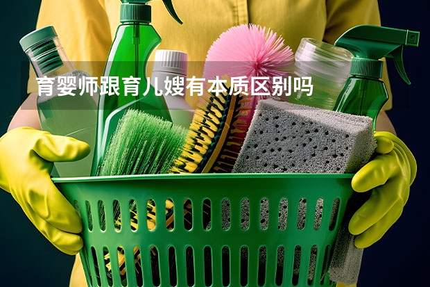育婴师跟育儿嫂有本质区别吗