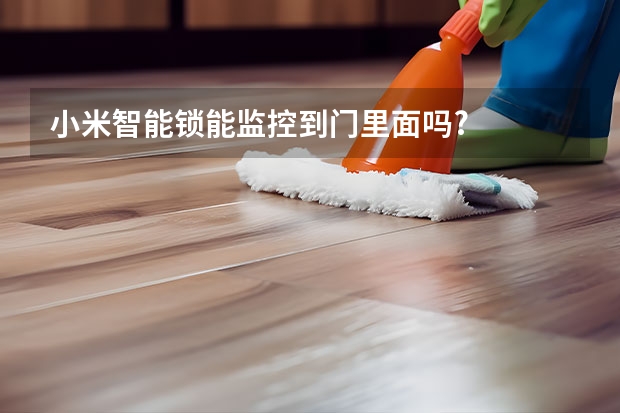 小米智能锁能监控到门里面吗?