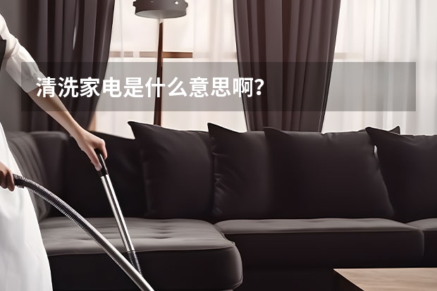 清洗家电是什么意思啊？