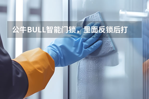 公牛BULL智能门锁，里面反锁后打不开怎么回事