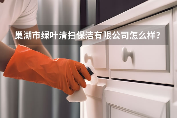 巢湖市绿叶清扫保洁有限公司怎么样？