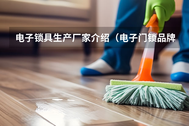 电子锁具生产厂家介绍（电子门锁品牌十大排名？）
