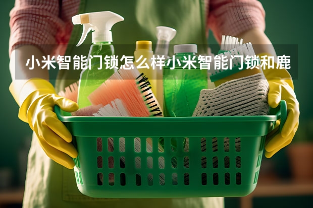 小米智能门锁怎么样小米智能门锁和鹿客智能门锁对比