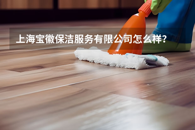 上海宝徽保洁服务有限公司怎么样？