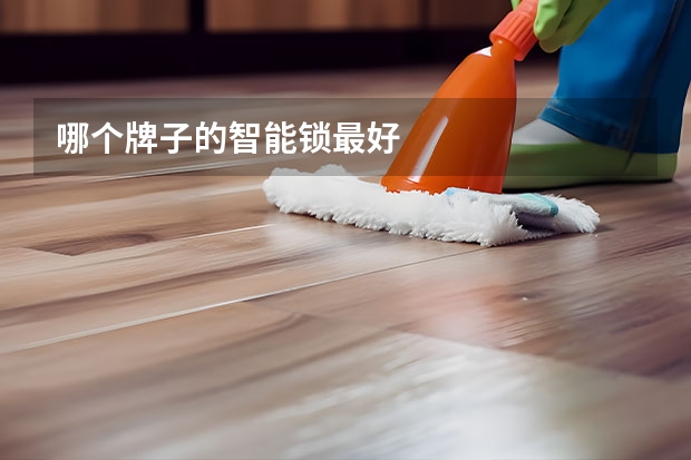 哪个牌子的智能锁最好