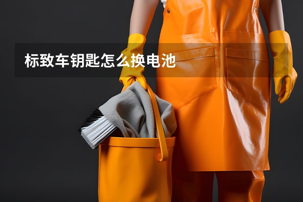 标致车钥匙怎么换电池