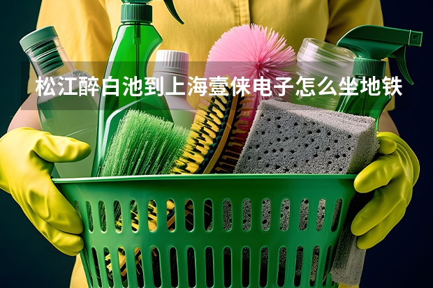 松江醉白池到上海壹俫电子怎么坐地铁