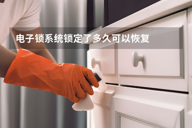 电子锁系统锁定了多久可以恢复