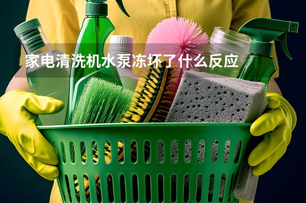 家电清洗机水泵冻坏了什么反应