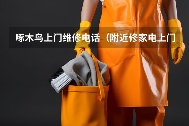 啄木鸟上门维修电话（附近修家电上门服务电话）