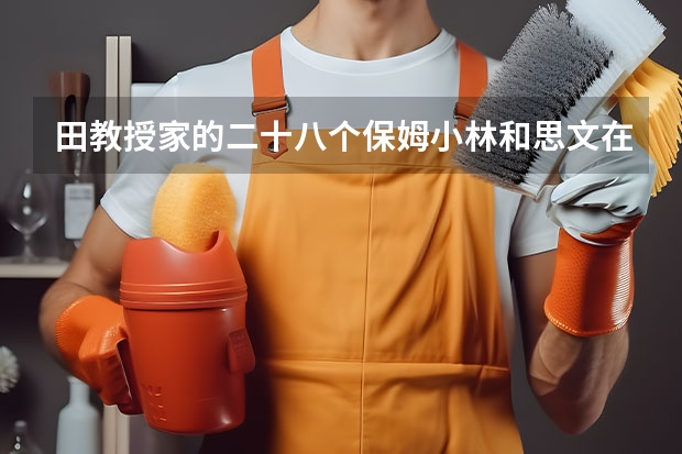 田教授家的二十八个保姆小林和思文在一起了吗