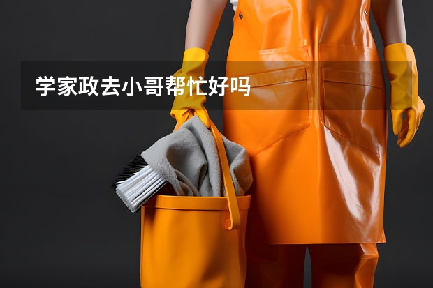学家政去小哥帮忙好吗