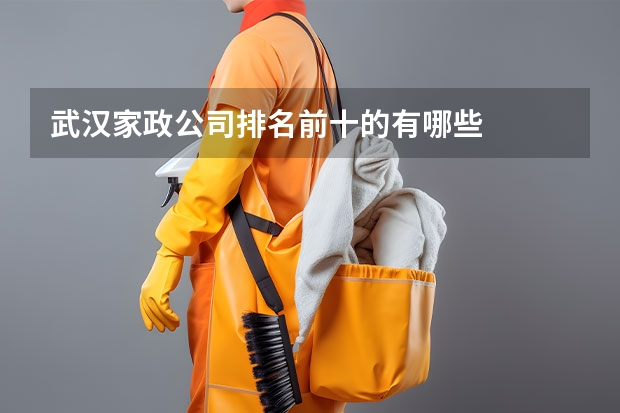 武汉家政公司排名前十的有哪些