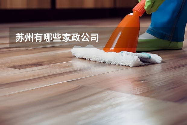苏州有哪些家政公司