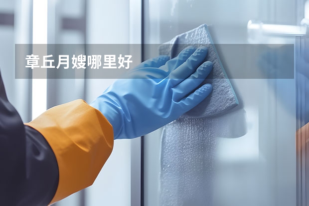 章丘月嫂哪里好