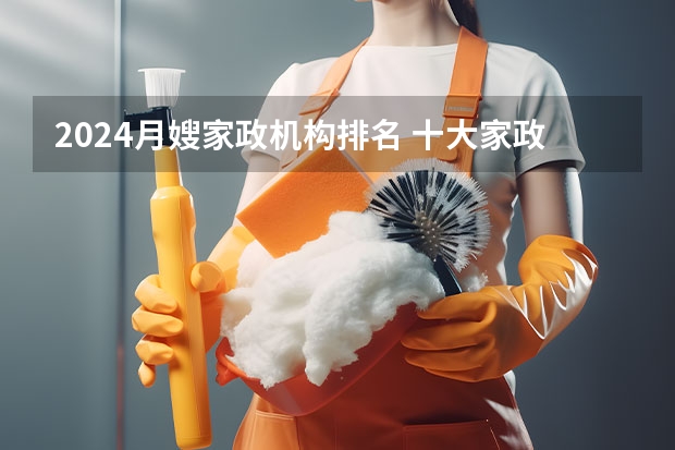 2024月嫂家政机构排名 十大家政服务公司排名