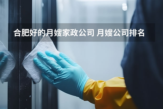 合肥好的月嫂家政公司 月嫂公司排名前十名